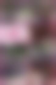 大友舞子　聖心女子大学  画像流出|聖心女子大学大友舞子フェラ流出画像 Themes Download Free Nude Pornsexiezpix Web Porn