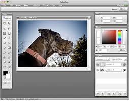 images