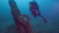 Les mystères fascinants des profondeurs océaniques ile ilgili video