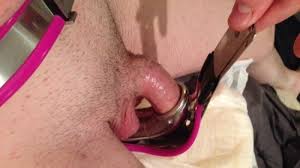 Chastity belt pa funny cocks best free porn futanari shemale hentai femdom and fandom porn jpg x Chastity belt