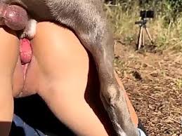 Sexy sluts having sex with dogs in dog porn compilation luxuretv jpg x Dog sex with women