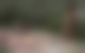 Imagefap nudist girl|105.jpg Porn Pic From Girls on Nudist Beaches - 035 - Uploaded by Cute Lips  Sex Image Gallery