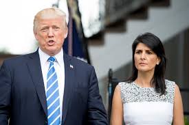 Donald trump wins term in historic JPG x Nikki haley