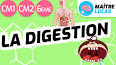 La Digestion des Aliments dans le Système Digestif ile ilgili video