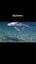 El fascinante mundo de las planarias ile ilgili video