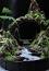 The Enchanting World of Bonsai: A Miniature Haven ile ilgili video
