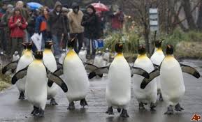 http://t2.gstatic.com/images?q=tbn:ANd9GcRlp8gkCVkjtyunayoFQPMKGUzpRCqcVika1nPxQYnvt-ASLqE6  