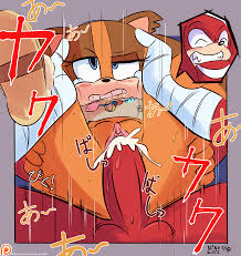 Marikazemus sonic boom echidna nights jpg x Sonic boom