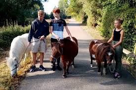 holland family naturism|Camping Naturist Kanegra | Istria | Croatia | Allcamps