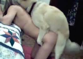 Hot girl gets fucked dog jpg x Hot girl fucks dog