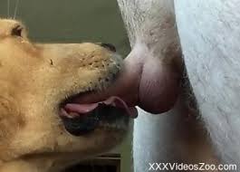 Incredible porno movie with heavy gape porno de mujeres con animales jpg x Mujeres cojiendo con animales