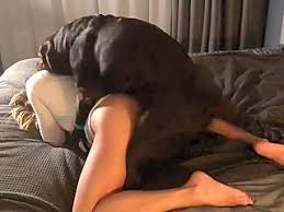 Mature woman gets pleasure from having sex with a dog jpg x Animal sex with woman