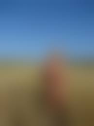 wife naked outdoor blond|Maria Nude Outdoor Blonde