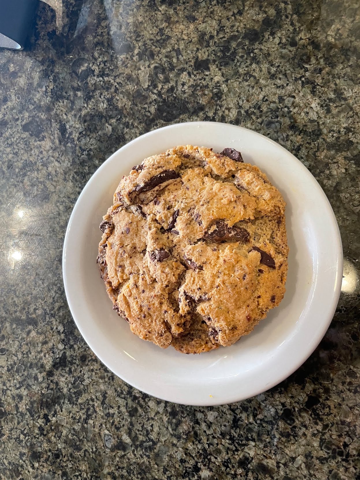 Fancy Plants Cafe by null