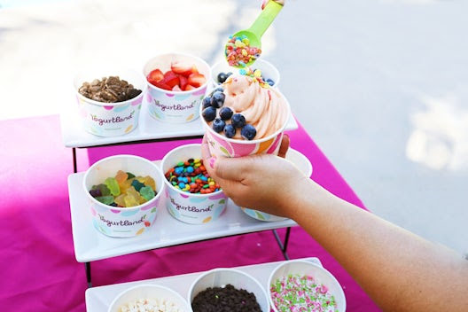 Yogurtland Garland by null