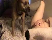 Teniendo sexo con perros jpg x Teniendo sexo con perros