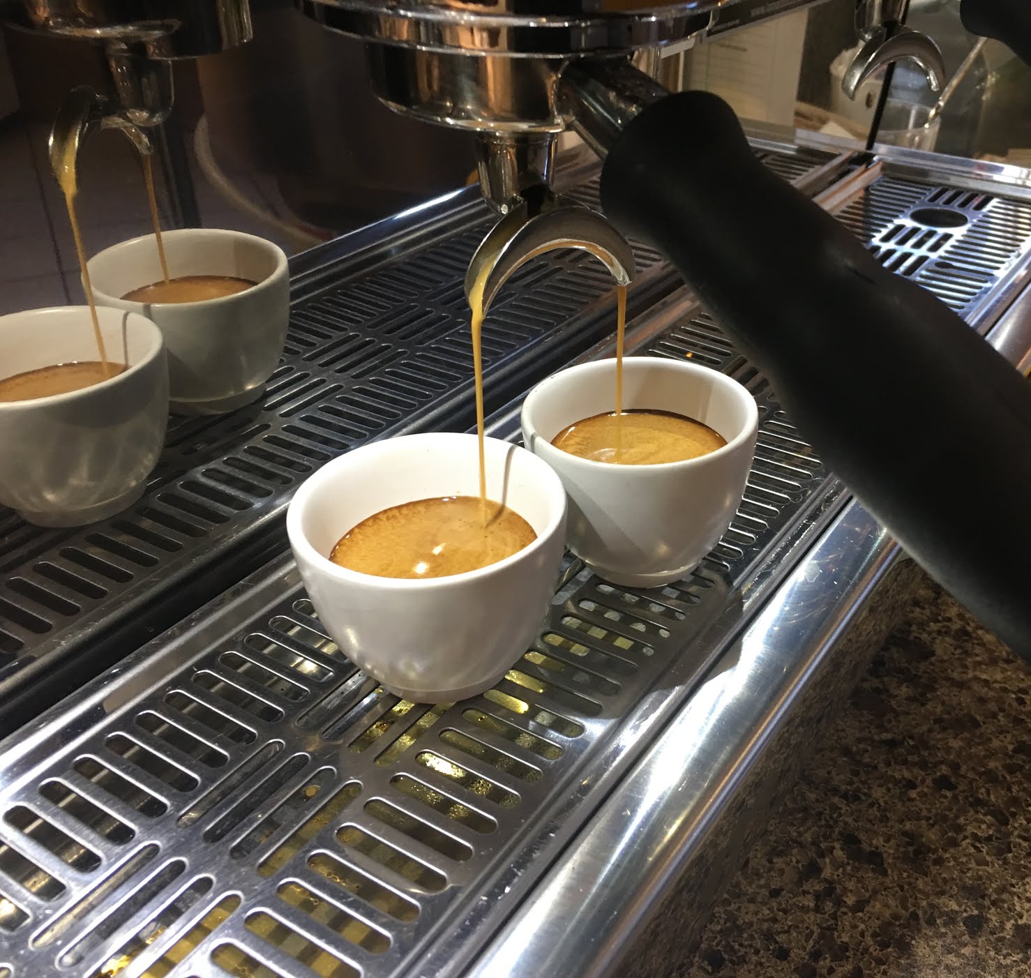 Tribute Coffee House by null