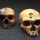 Humans Interbred With Hominins on Multiple Occasions, Study Finds 