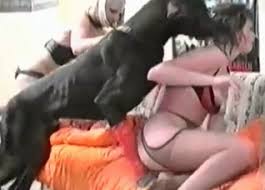 Playtime starring mariana dog porn jpg x Dog fucks