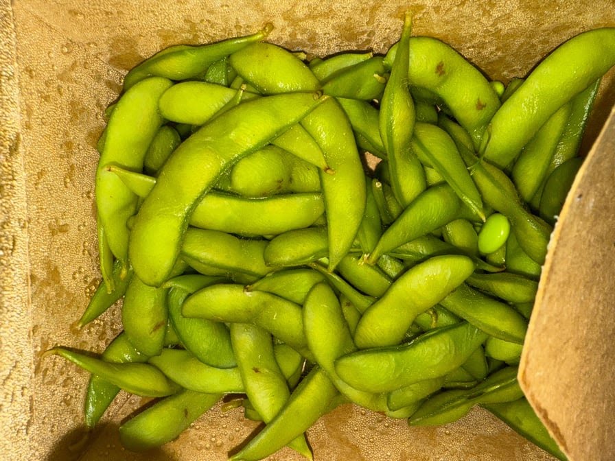 Osaka Sushi NYC by null