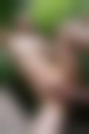 erected shemale|Shemale Erect Cock | Anal Dream House