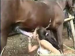 Has sex with horse jpg x Has sex with horse