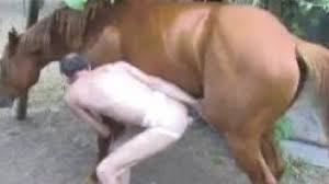 Guy fucks horse real hard from behind jpg x Man fucking horse