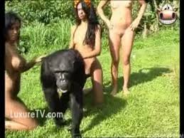 Egndhgaaaa tyokf i wqy jpg x Monkey fucks girl