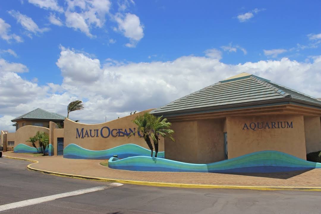 Maui Ocean Center, The Aquarium of Hawaii by null