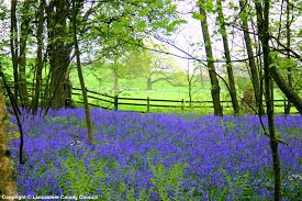 فروردین تلخ