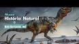 A História Fascinante dos Fósseis de Dinossauros ile ilgili video