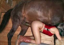 Mujeres caballos jpg x Sexo con caballo