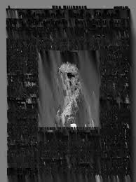 chan Mir hebe girl cocks 040|HÖRZU - Ausgabe 41/2024