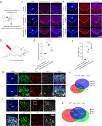 ls- nude lsm 6|chelsea.m.2007 Respond to every call that excites your spirit 💚 @🥰Ma... |  TikTok