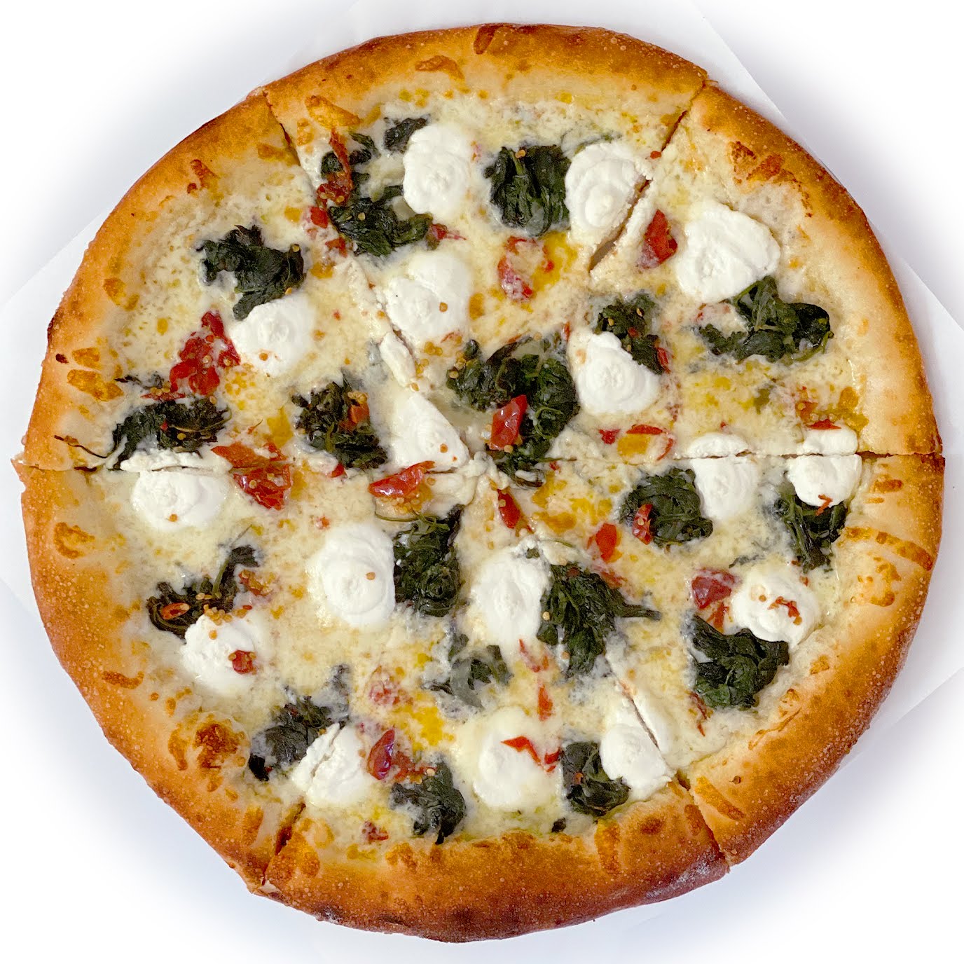 Little Coyote by null