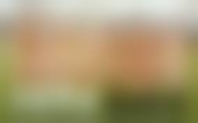 group girls pussy ass|Ass Butt Bum - Hot! Group Rear & Pussy Pics Porn Pictures, XXX Photos, Sex  Images #1172136 - PICTOA