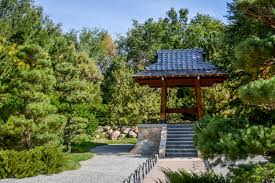 albuquerque expert roofing services