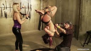 Shibari bondage anal porn videos jpg x Shibari bondage