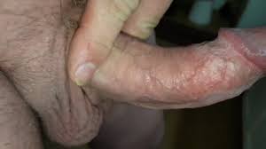 Hunky boy with shaved cock jpg x Shaved cock