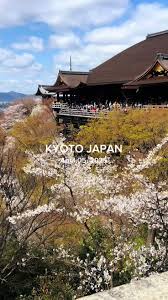 tokyohot 1583|Japan It Week Spring | TikTok