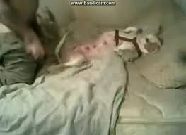 Guy fucks dog pussy jpg x Guy fucks dog pussy