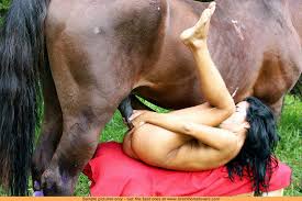 Hot girls fucking horses jpg x Girls fucking horses