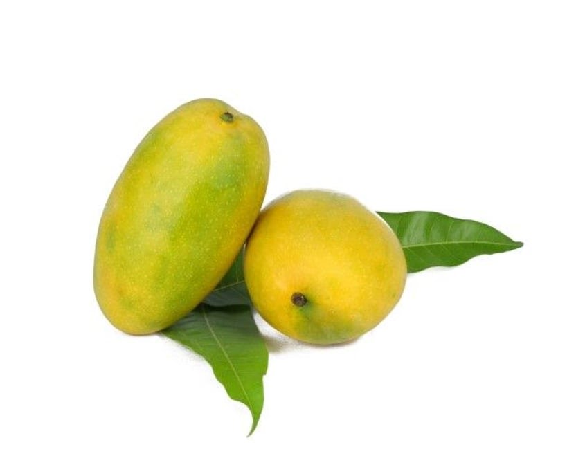 Shastha Foods by null