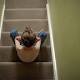 Labor criticises $8.5m reform plans for foster care homes after 'Girl X' failures 