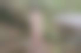 fusker onsen-photo 8|i2.wp.com onsen-photo.com wp-content uploads 2021 07 BeautyP