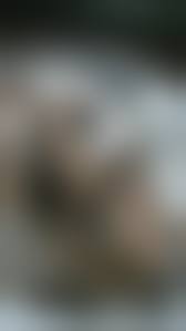 voyeur pretty girl|Beautiful girl toilet voyeur - ThisVid.com