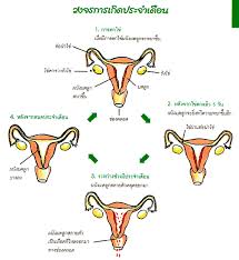 หีเด็ก blogspotหีเด็ก |โยนี' สัญลักษณ์โบราณอันซ่อนอยู่ในที่ทางปัจจุบัน
