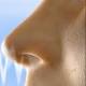 The incredible truth about the human nose 