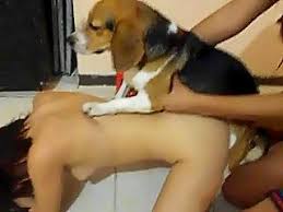 Amateur mature girl has sex with dog free bestiality and animal porn png x Dog has sex with girl