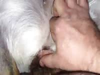 Gay furry porn compilation deer edition jpg x Man fucks deer